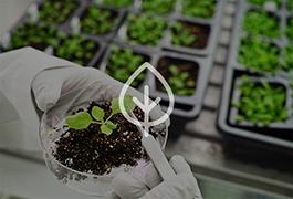 Biotecnologia