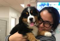 Aileen, a técnica veterinária