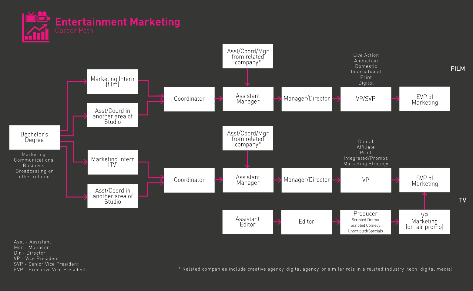 Roteiro de marketing de entretenimento 