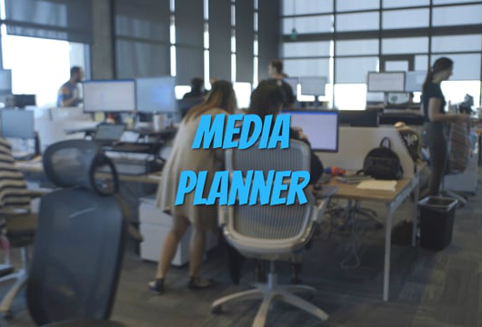 Planejador de Mídia da Dentsu Aegis Network