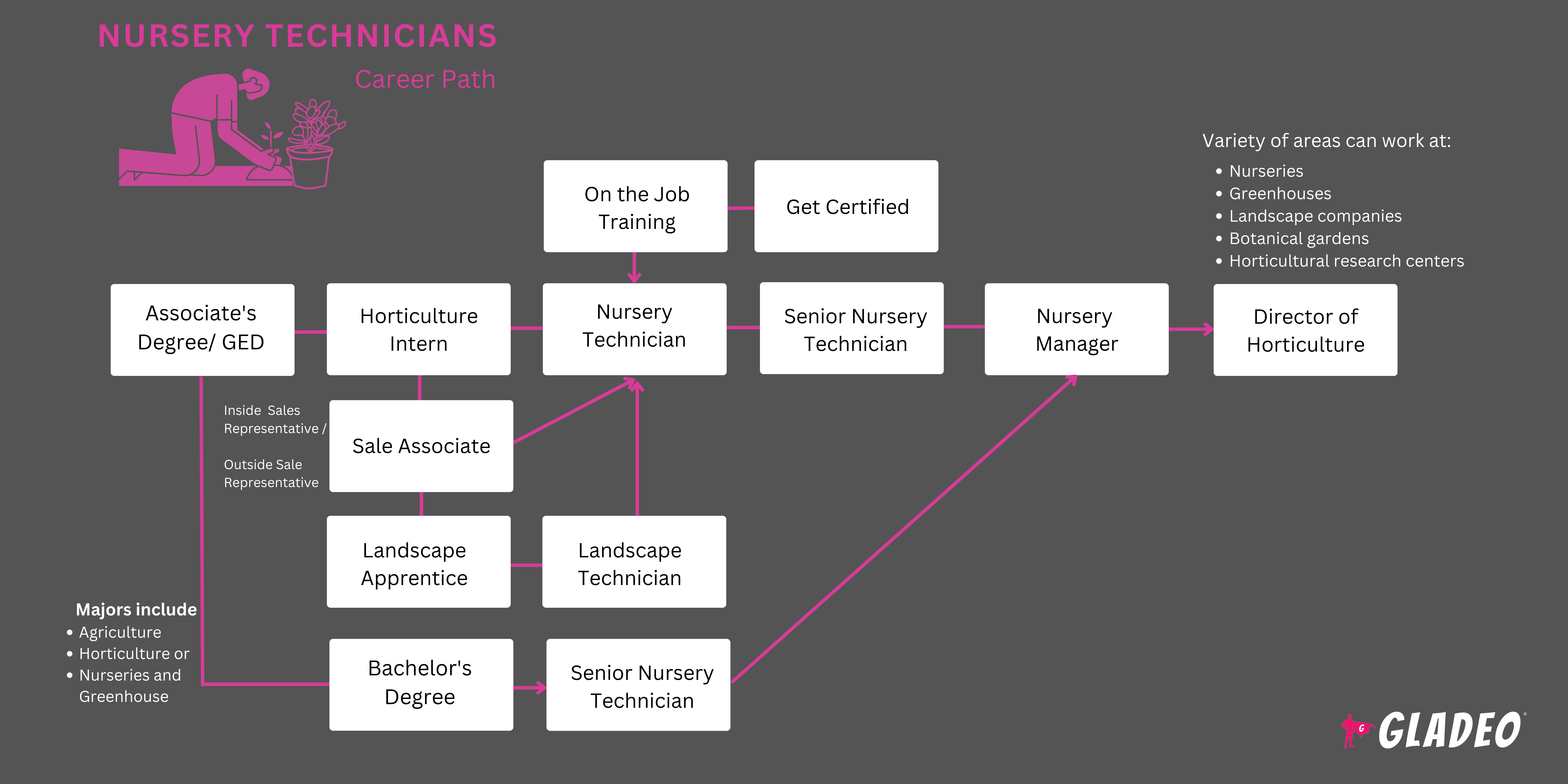 Plano de Carreira para Técnico em Viveiros