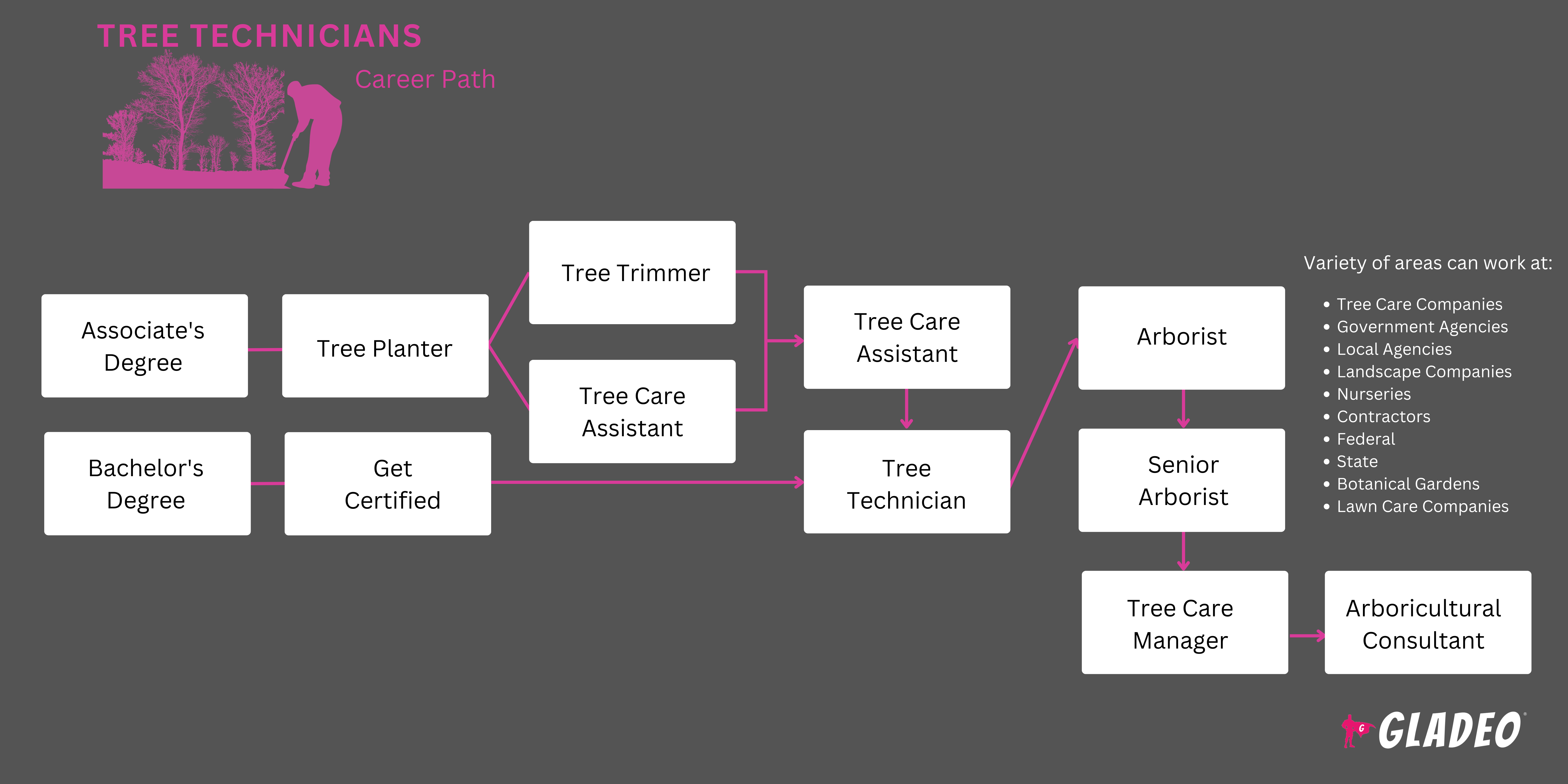 Plano de carreira para técnico em arboricultura