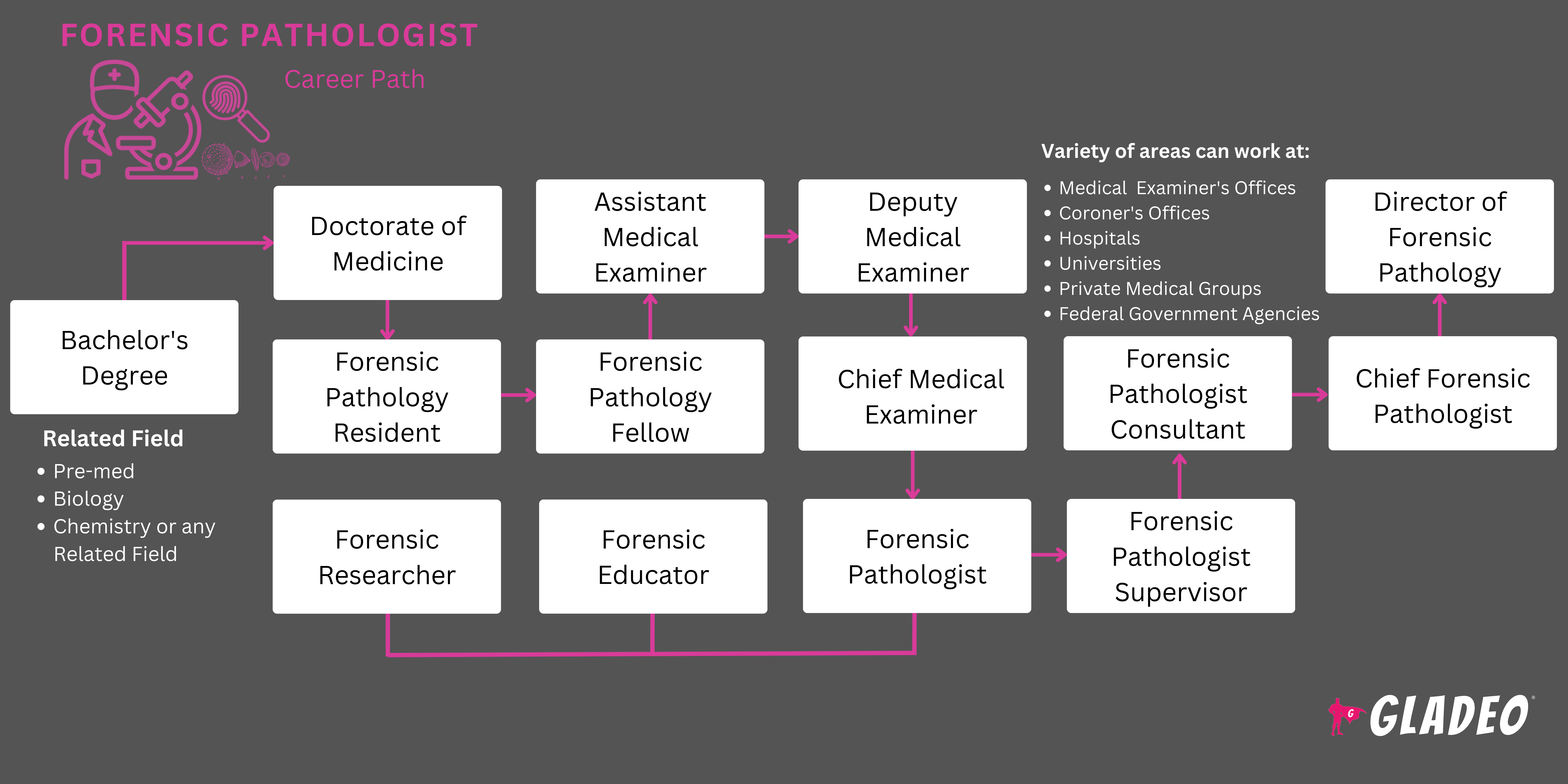 Plano de carreira para patologista forense