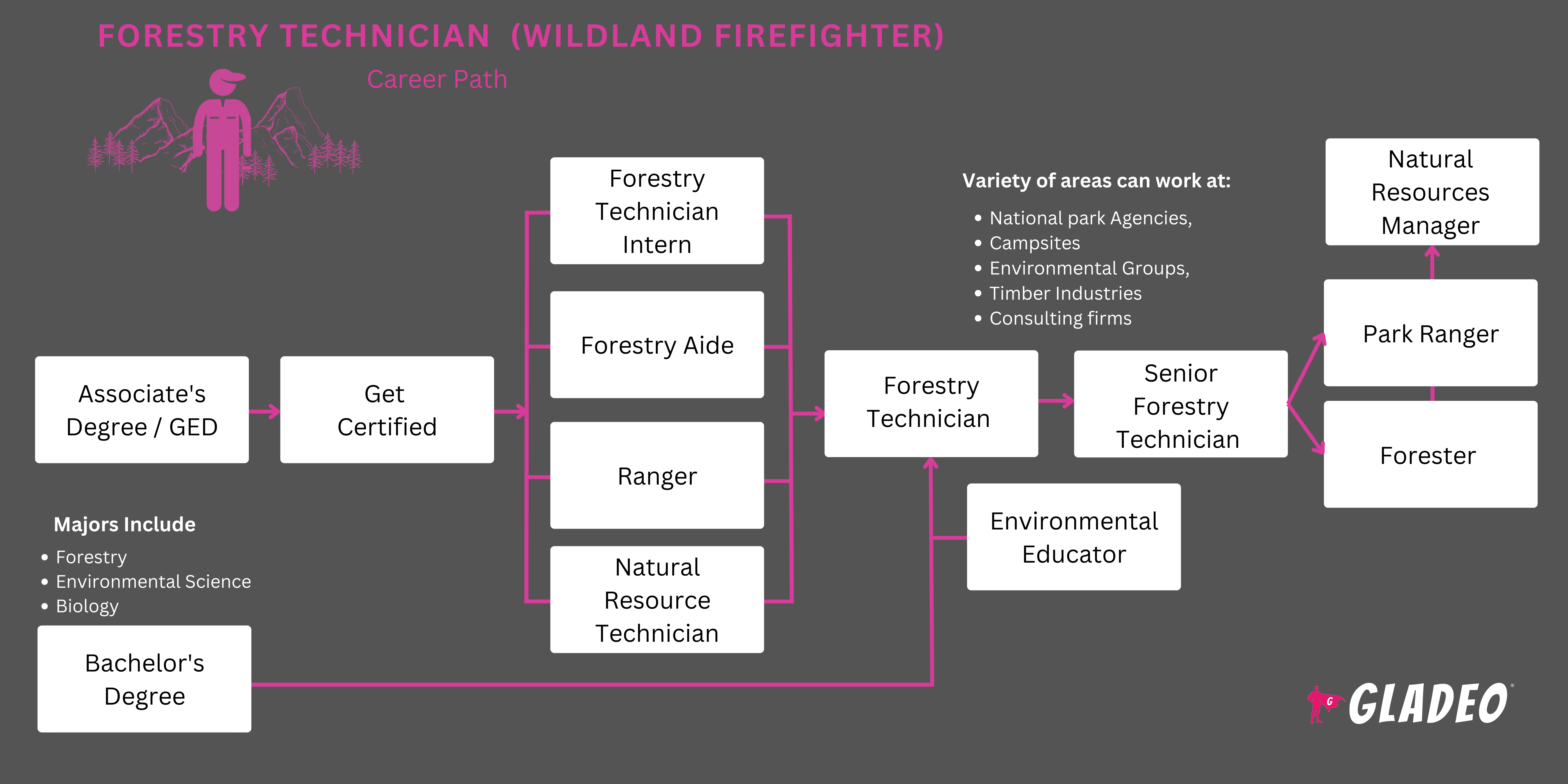 Plano de Carreira para Técnico Florestal (Bombeiro de Incêndios Florestais)