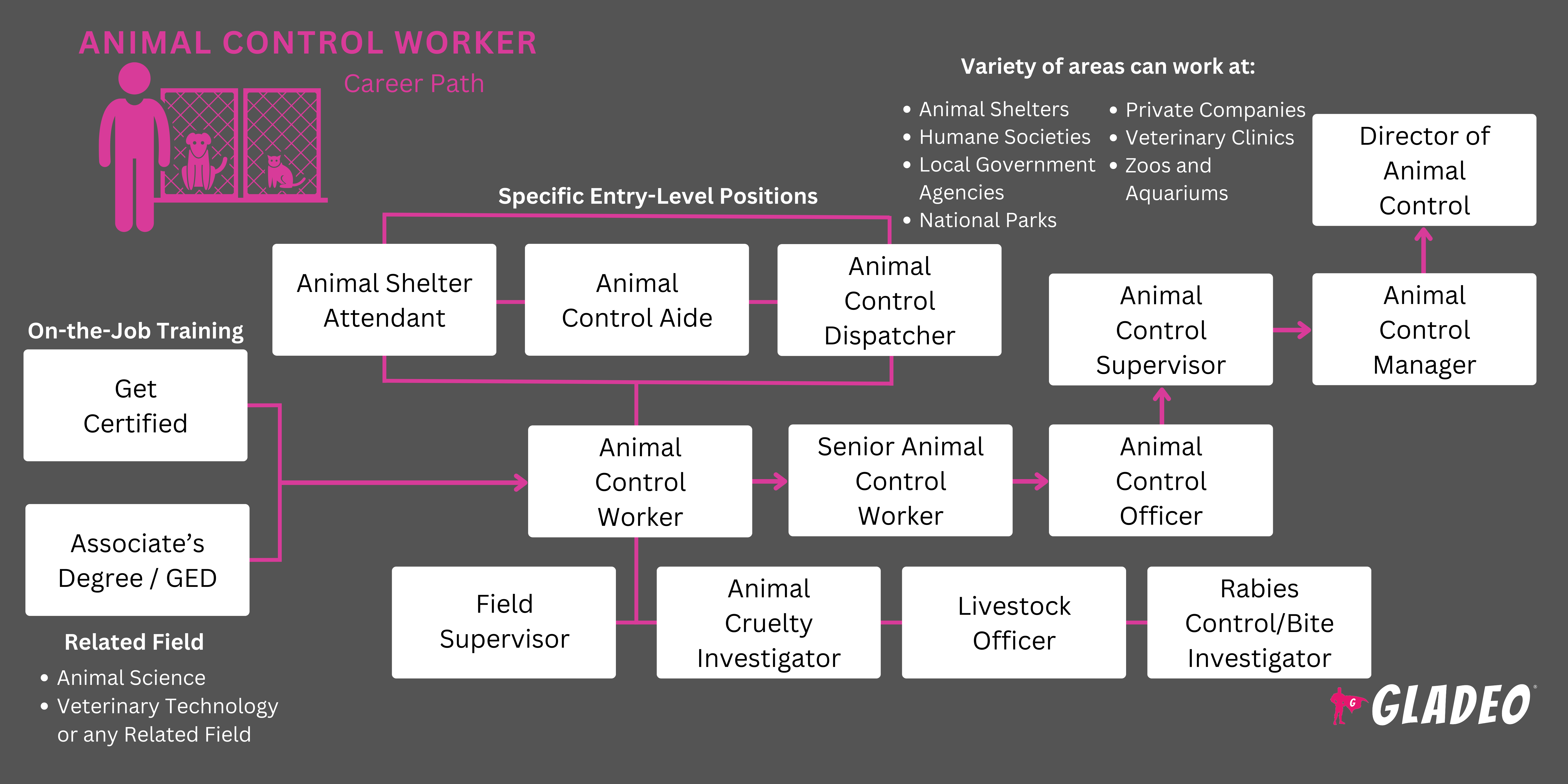Plano de carreira para agentes de controle de animais