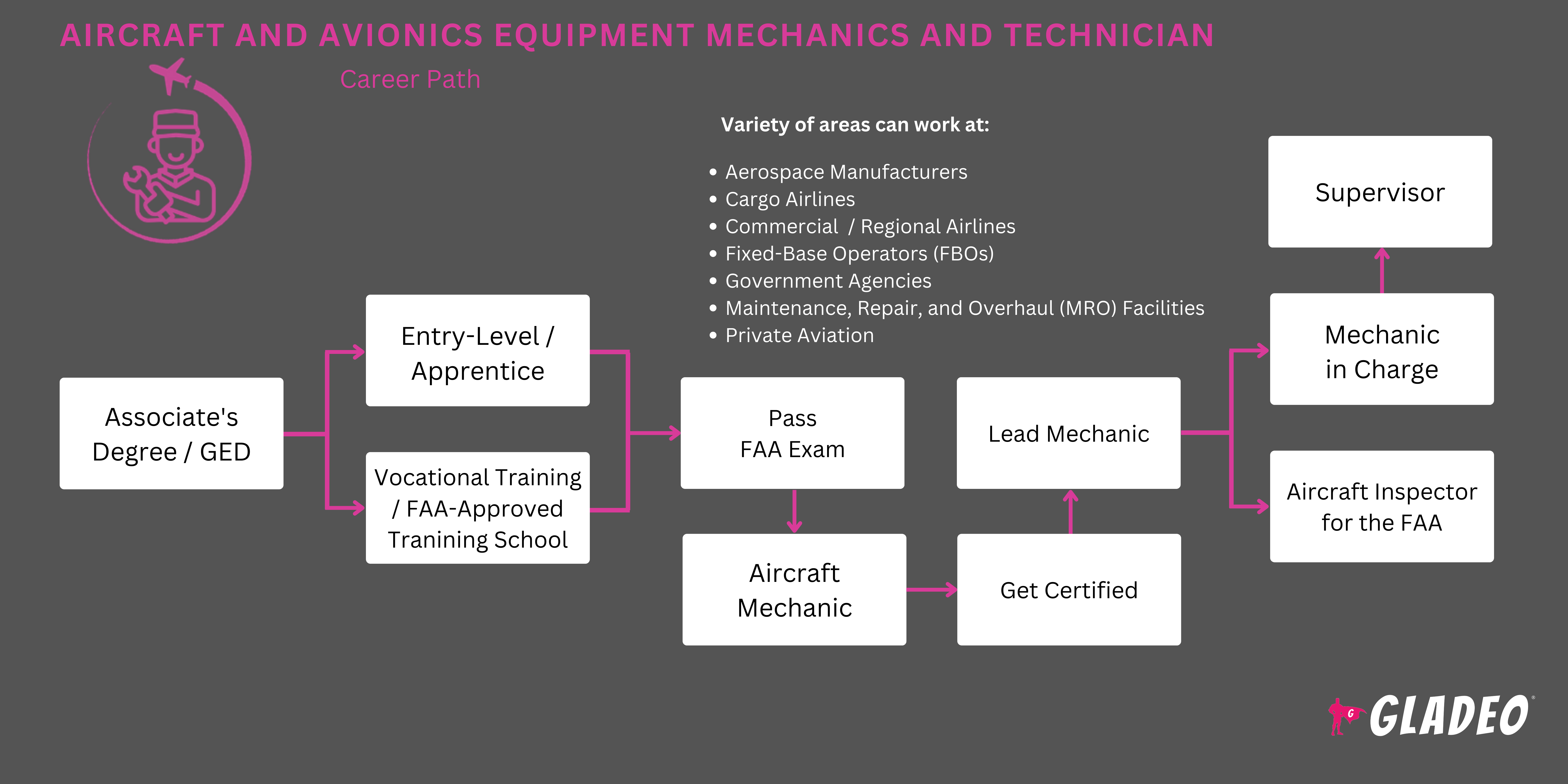 Plano de Carreira para Mecânicos e Técnicos de Aeronaves e Equipamentos de Aviónica