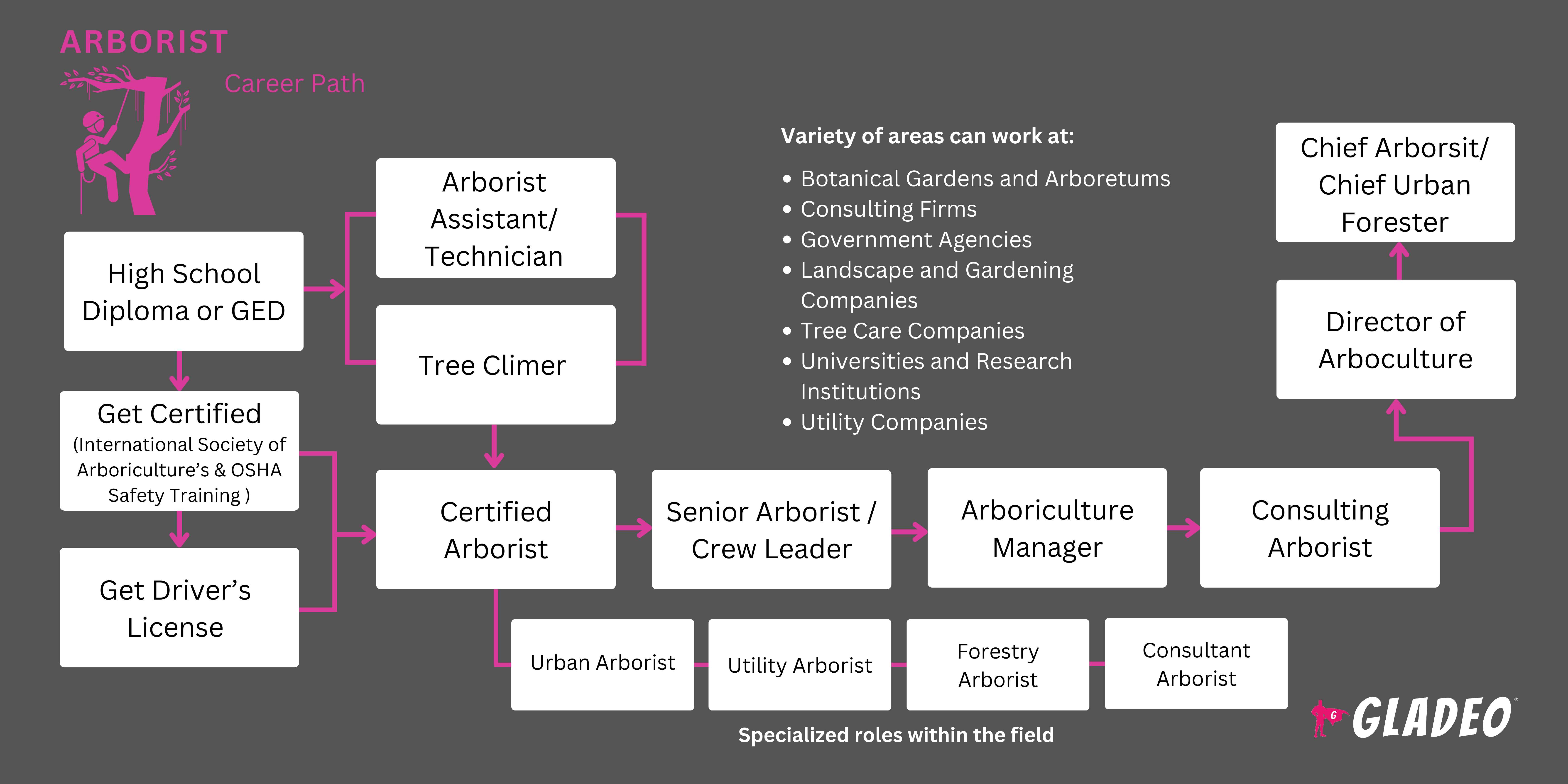 Guia para Arboristas
