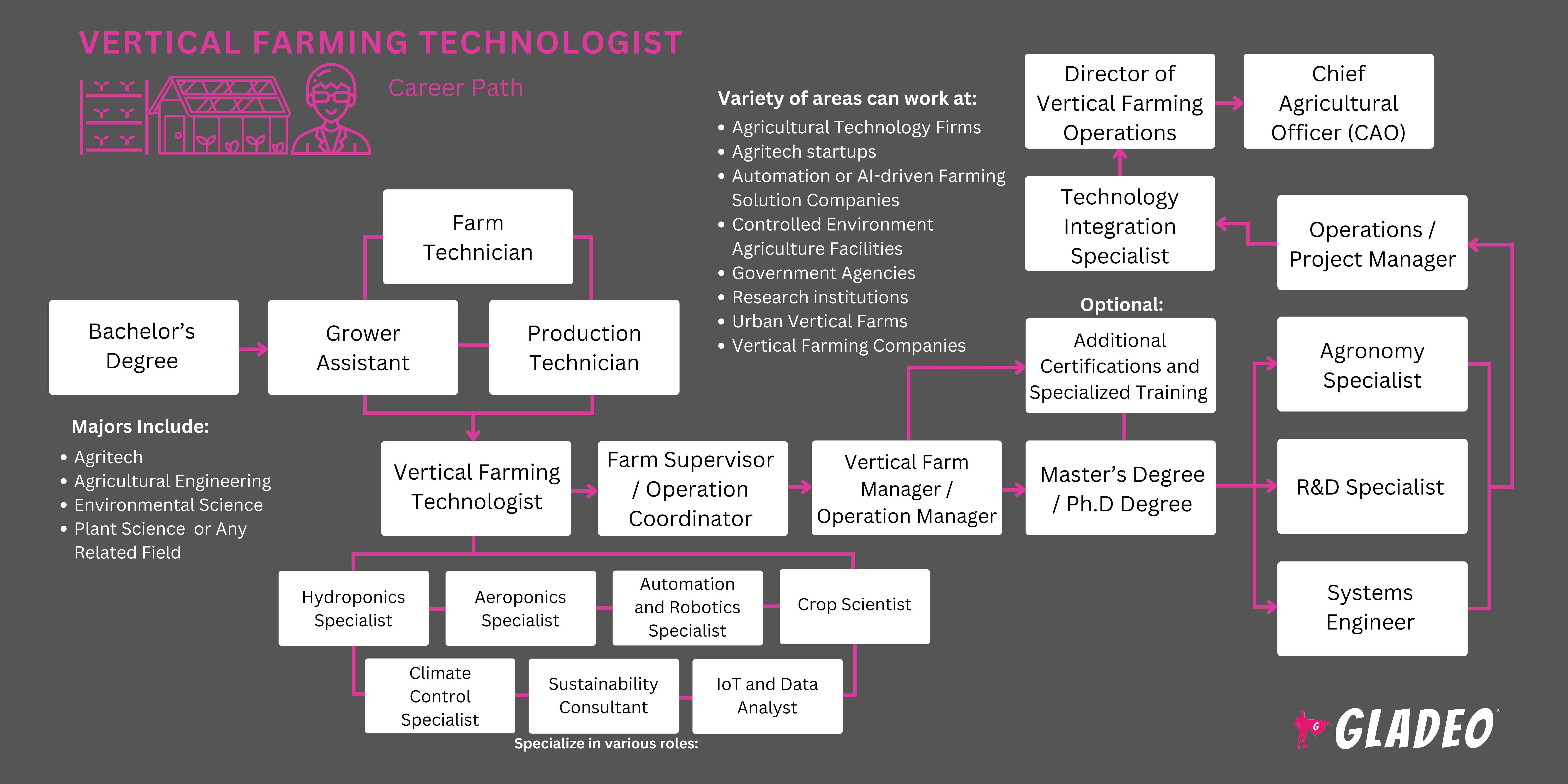 Roteiro para o profissional de tecnologia em agricultura vertical