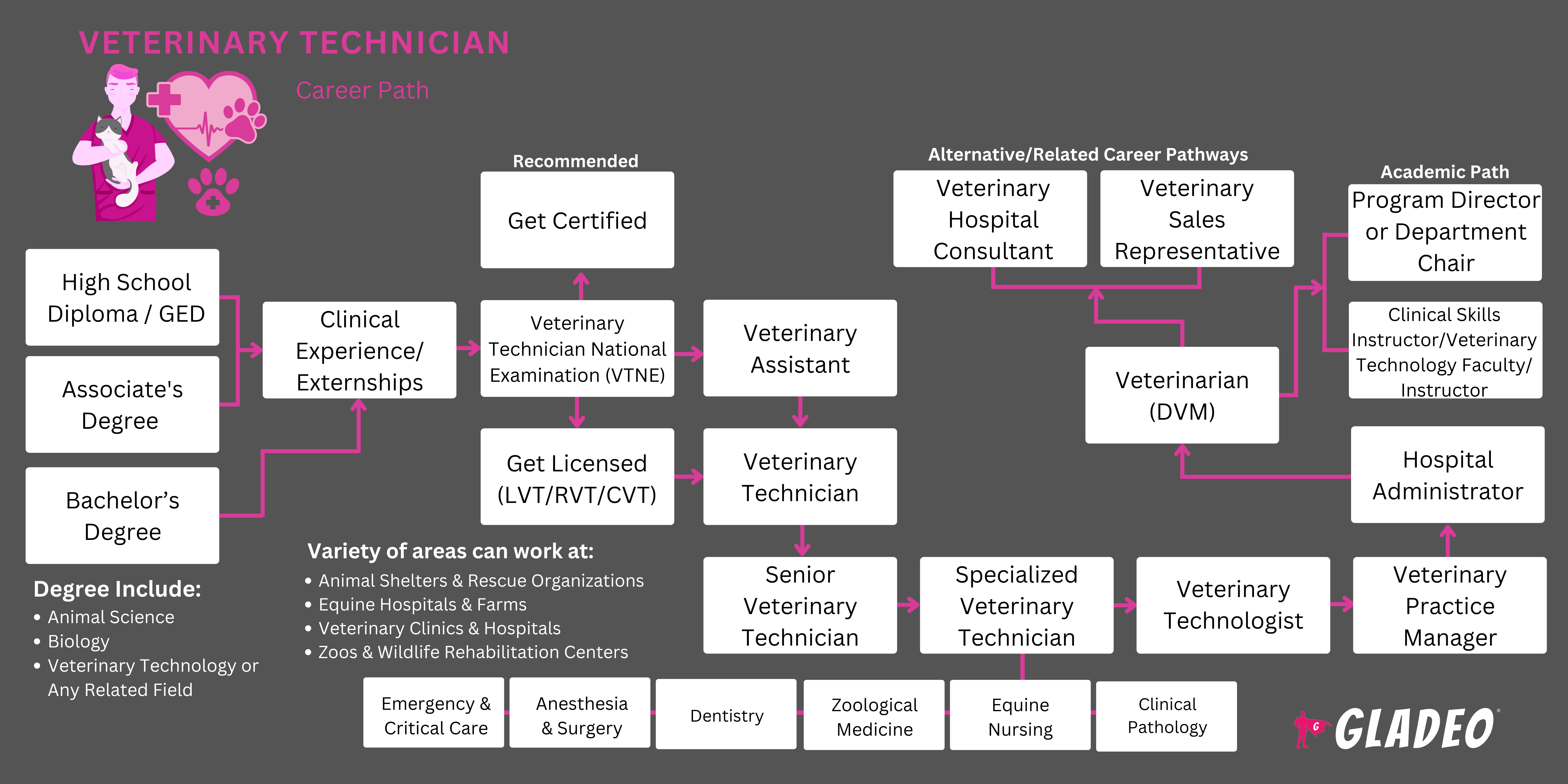 Plano de Carreira do Técnico Veterinário