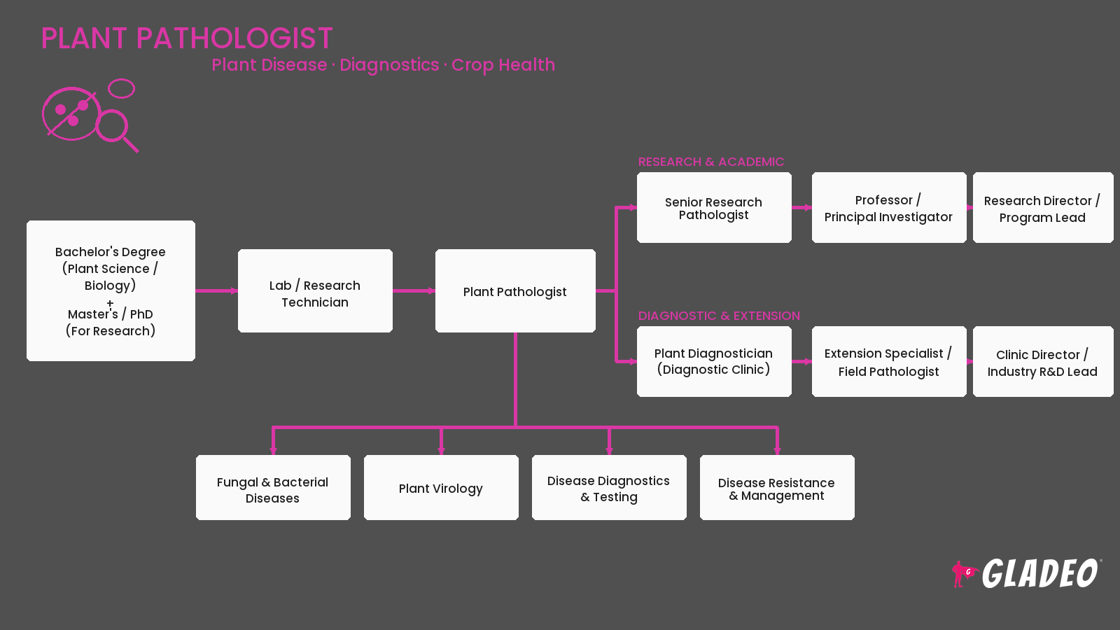 Fitopatologista